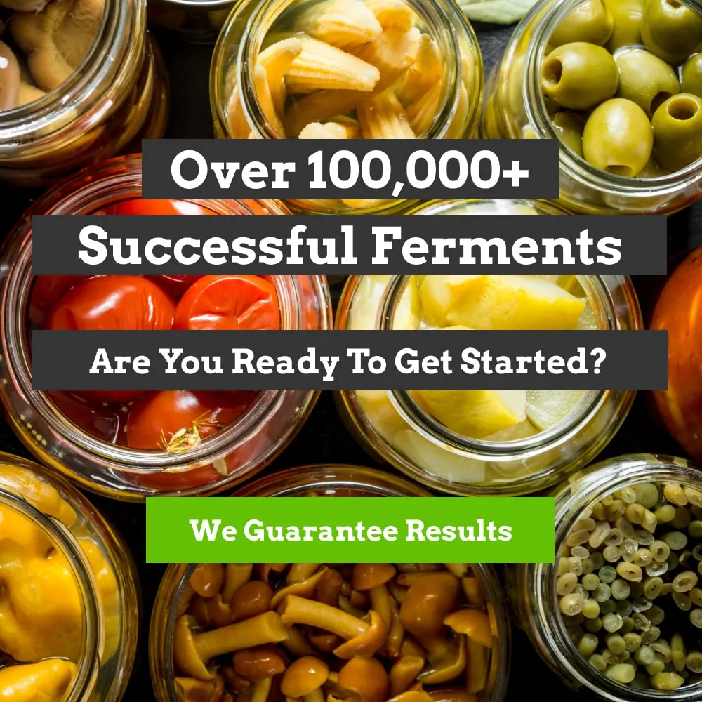 The Easy Weight Fermentation Weights (Value Pack Of 4 Fermenting Weights)
